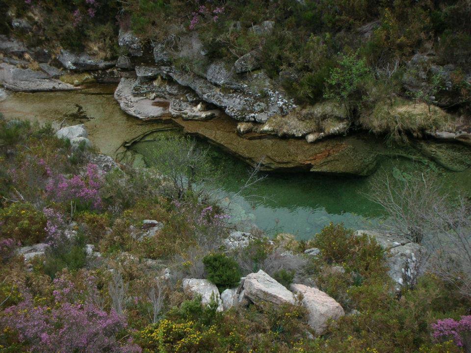 As Termas Casa de hóspedes Bubaces